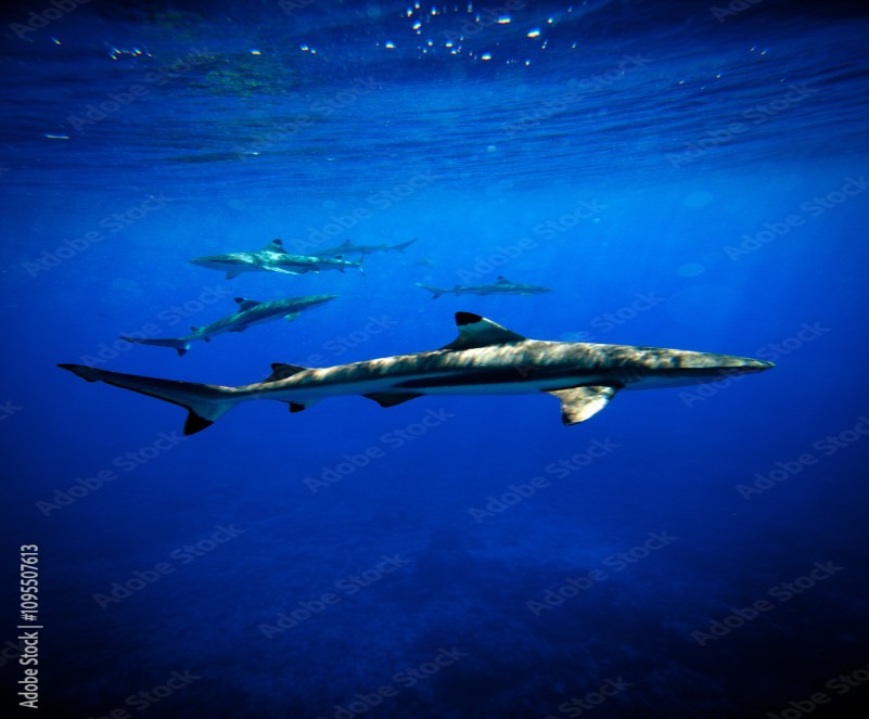 Québec SMB Security Baseline 10 Controls You Can Do This Month